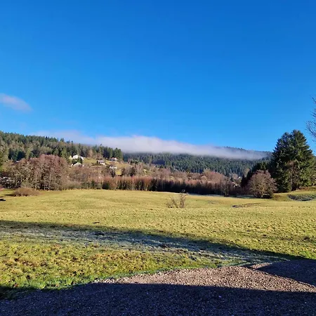 Les Renardeaux, Privatif, Proche Gerardmer ル・トリー